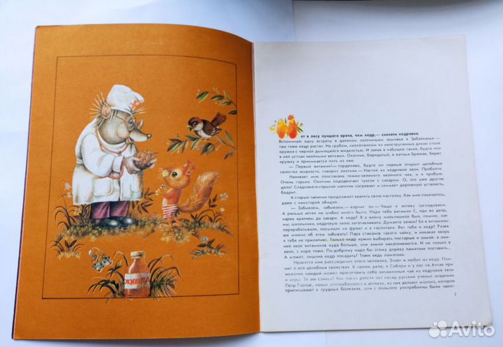 Товары для школы Извекова.Очем рассказала кедровка