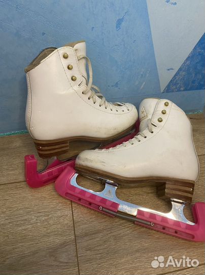 Фигурные коньки Jackson 2C (31-32)