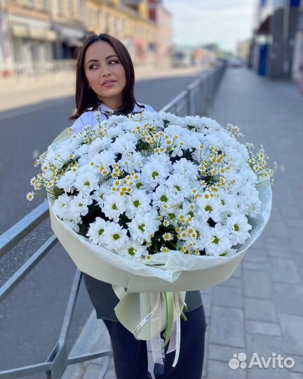 Цветы Хризантема букет