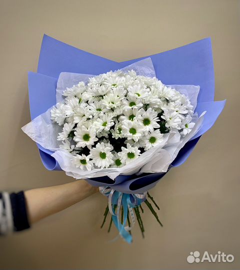 Гигант из хризантем. Доставка цветов Вологда