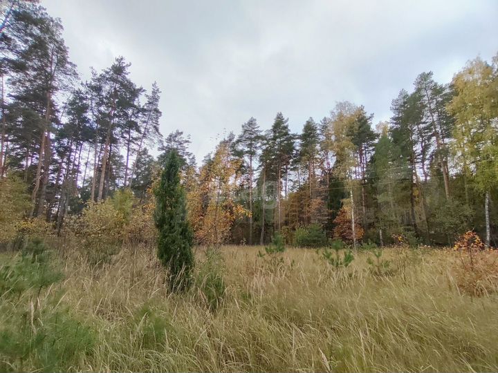 Участок 11 сот. (личное подсобное хозяйство (лпх))