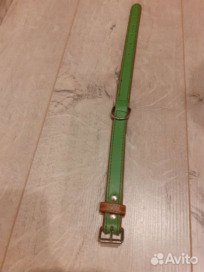 Ошейник для собак