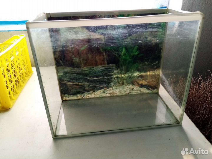Аквариум