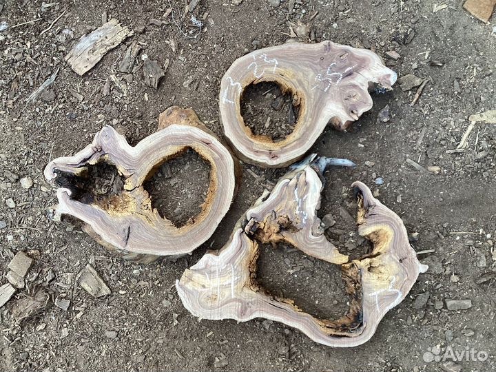 Спилы ореха, карагача, клена