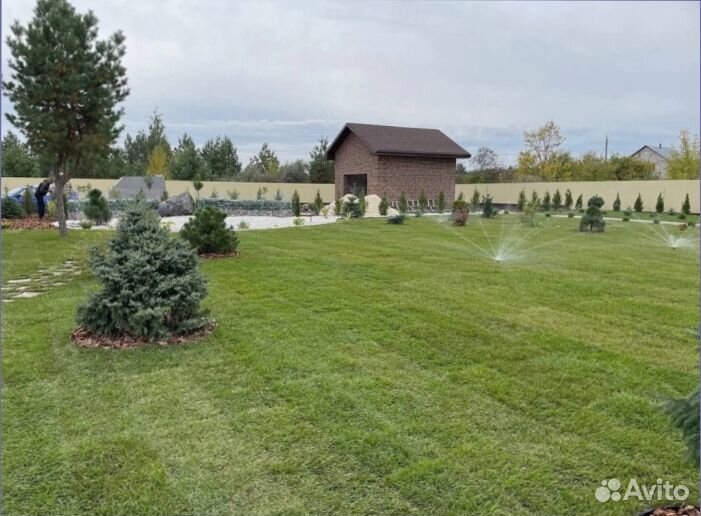 Семена для газона Газон