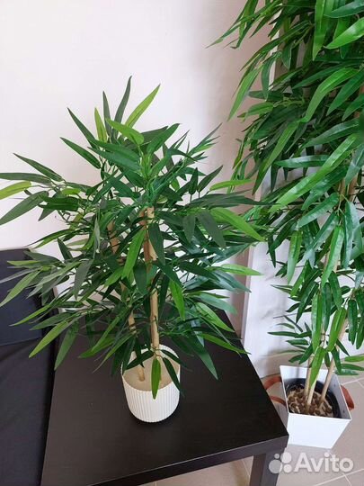 Искусственные цветы бамбук