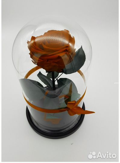 Пр-во Тлт. Вечная Роза в колбе. Много моделей