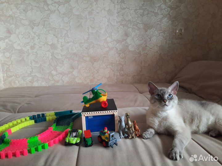 Гараж, машинки и маленькие динозаврики