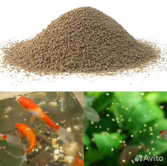 Корм для аквариумных рыб из опарыша разводчикам