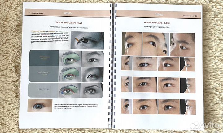 Форма головы и шеи