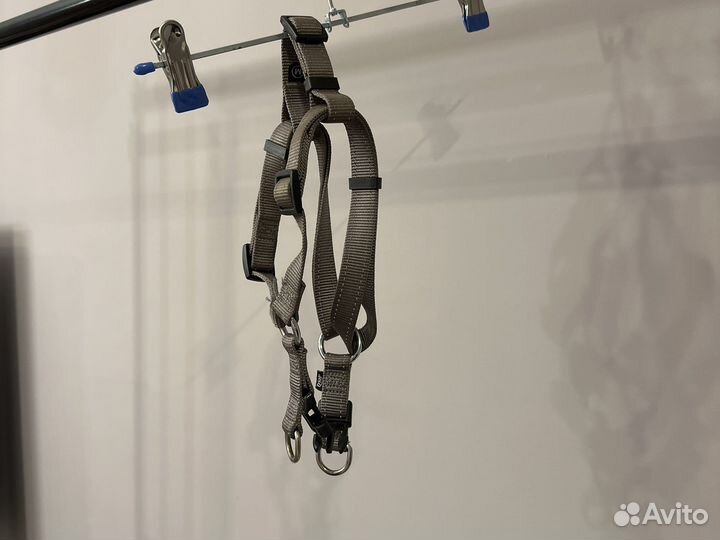 Шлейка для собаки