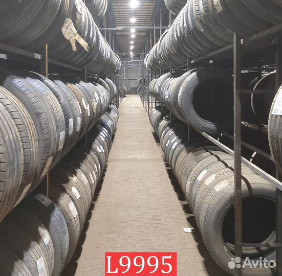 Dunlop Graspic DS-V 205/65 R16 95P