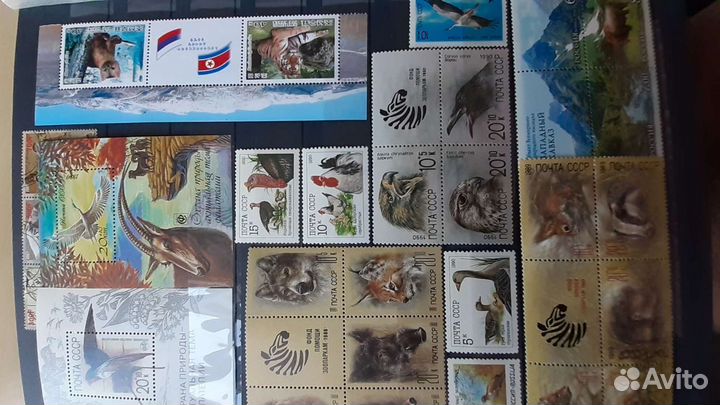 Животный мир. Фауна