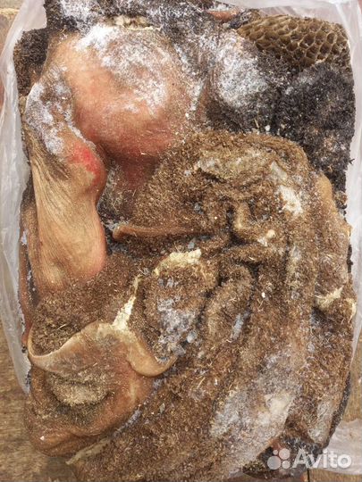 Мясо для собак