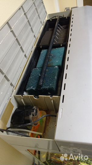 Аквариум с тумбой, оборудование, декор, рыбки