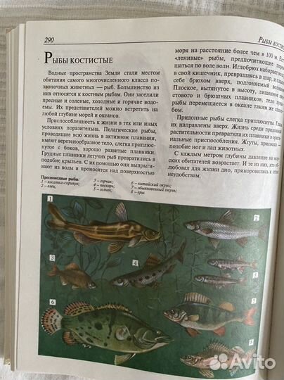 Книги «динозавры» и «словарь юного натуралиста»