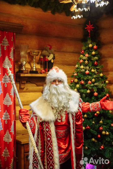 Дед Мороз и Снегурочка VIP