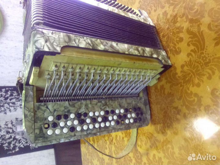 Баян немецкий