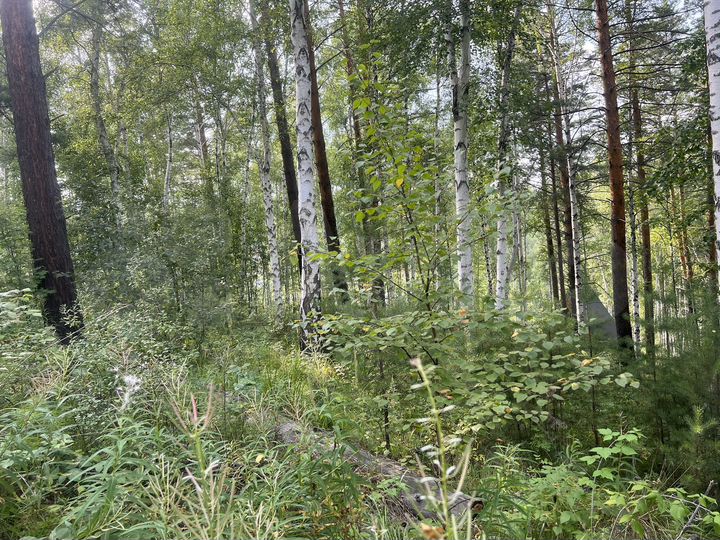 Участок 8,8 сот. (СНТ, ДНП)