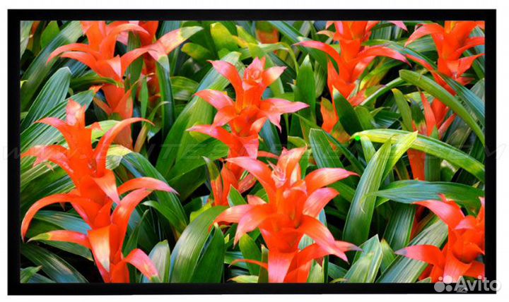 Экран на раме Elite Screens ezFrame R135WH1 168*29