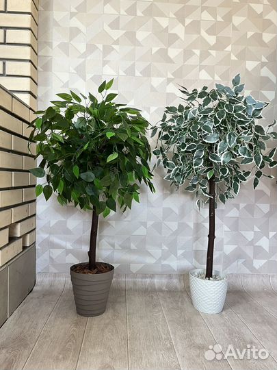 Искусственный фикус 100 см