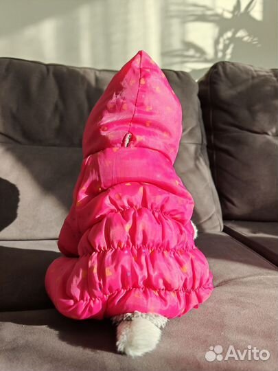 Одежда для маленьких собак (комбинезоны)