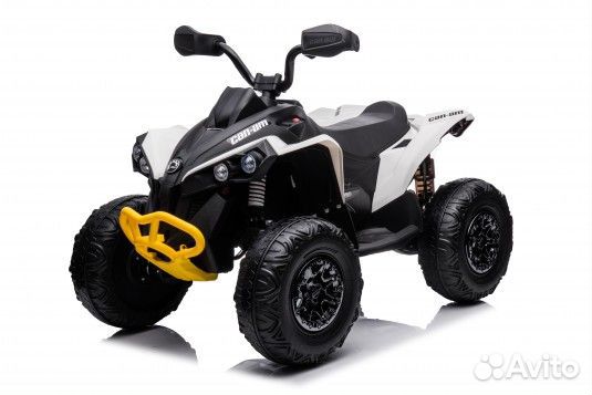 Детский электроквадроцикл brpcan-AmRenegade Y333YY