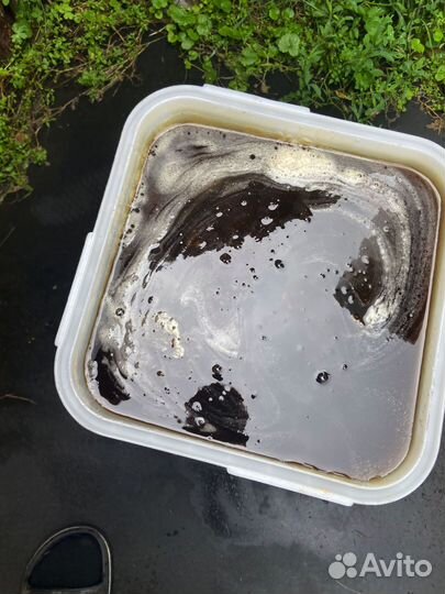 Мед гречишный 2024 оптом