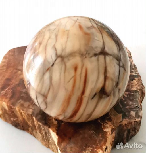 Шар из природного камня. Окаменелое дерево