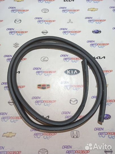 Уплотнитель проема двери передний левый Renault