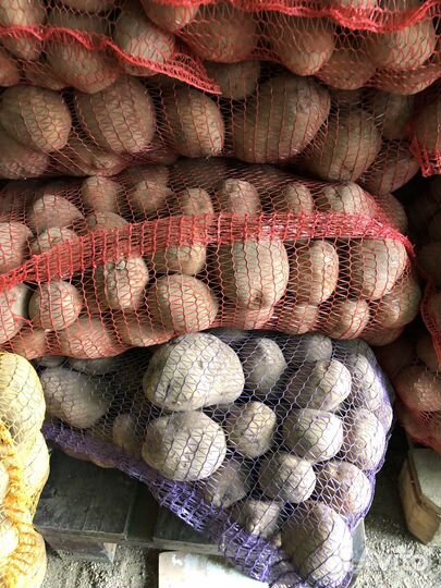 Розовый, желтый картофель и лук сухой