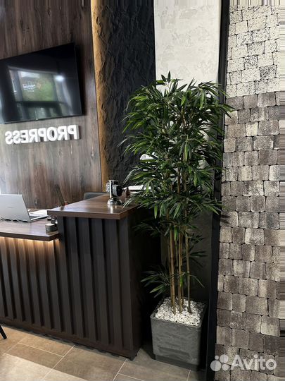 Тротуарная плитка, брусчатка, бордюры