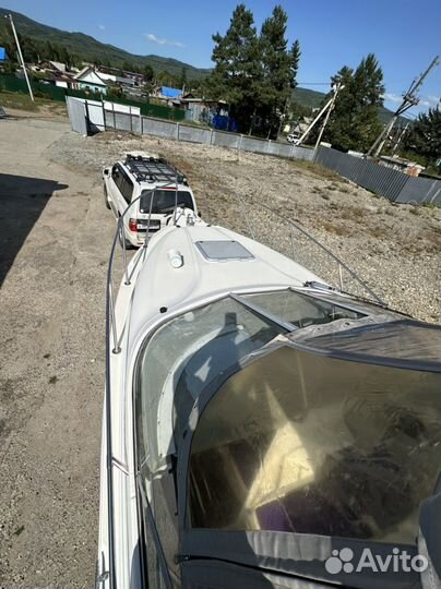 Катер maxum scr2400