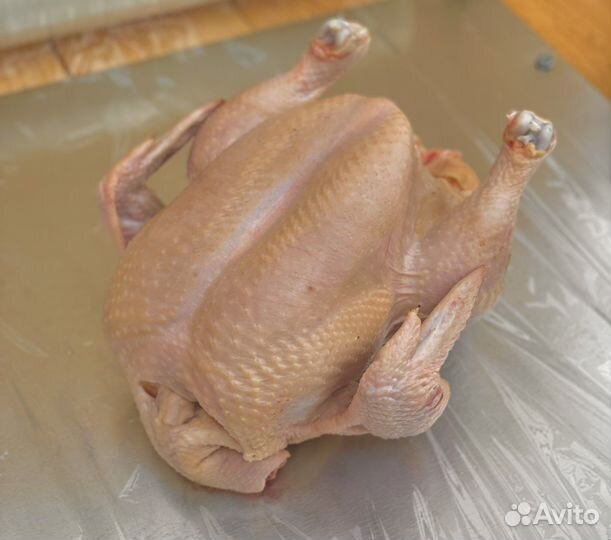 Мясо домашнего цыпленка бройлера