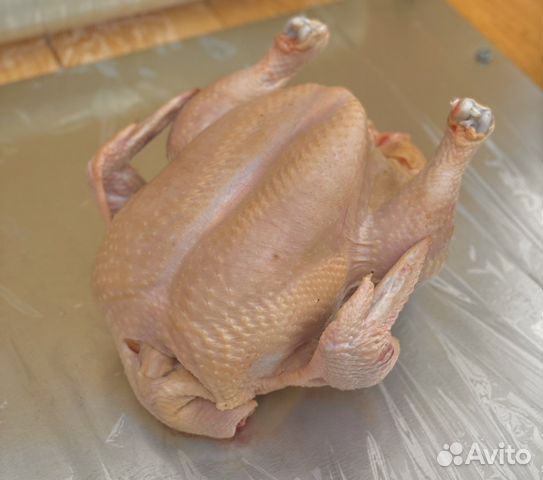 Мясо домашнего цыпленка бройлера
