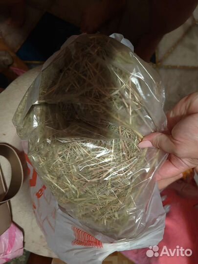 Корм для декоративных кроликов