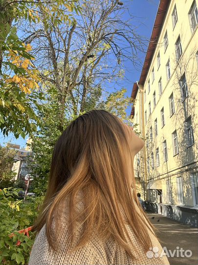 Прогулка с собакой