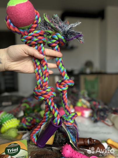 Игрушки для собак Triol новые