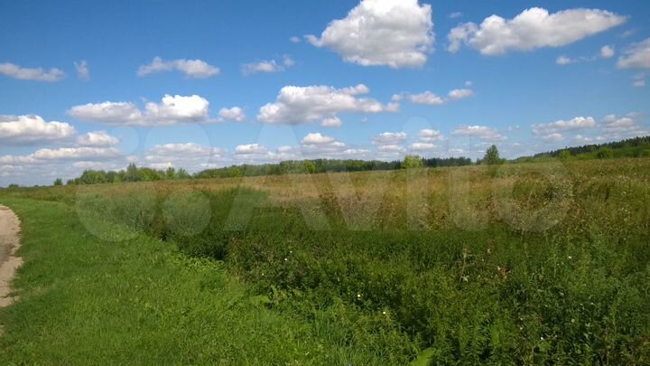 Участок 16 га (ИЖС)