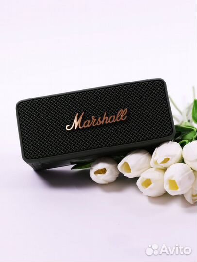 Беспроводная колонка Marshall Speaker BT