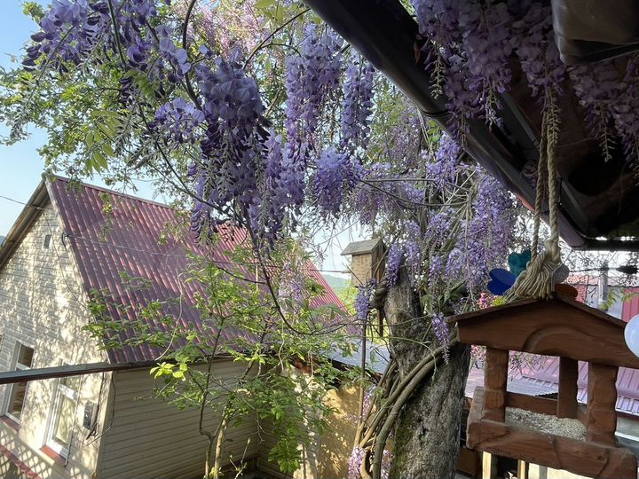 Дом 200 м² на участке 10 сот.