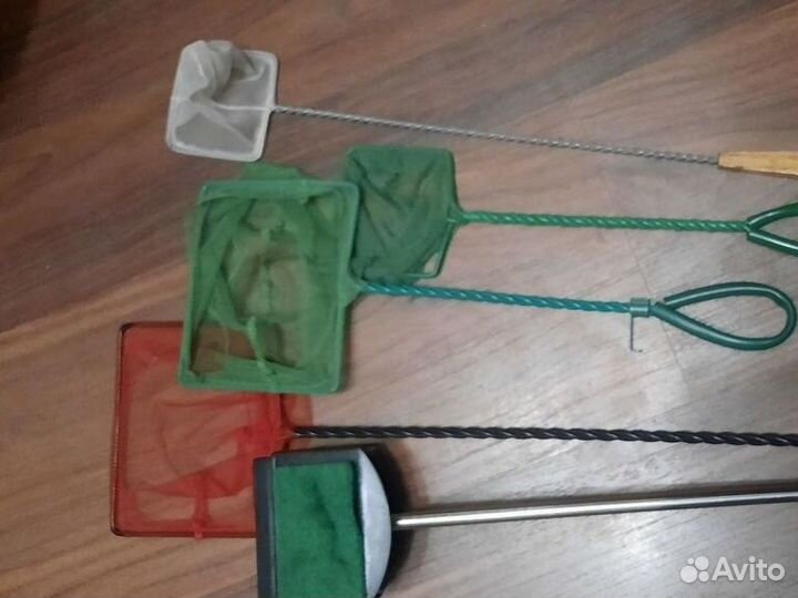 Аквариумистика