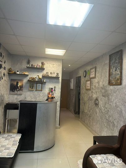 Груминг коворкинг