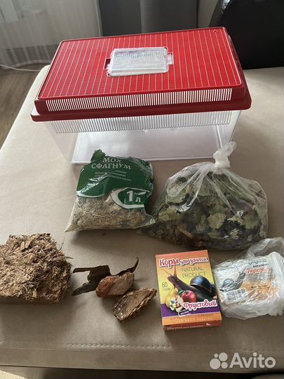 Террариум для улиток вместе с кормом