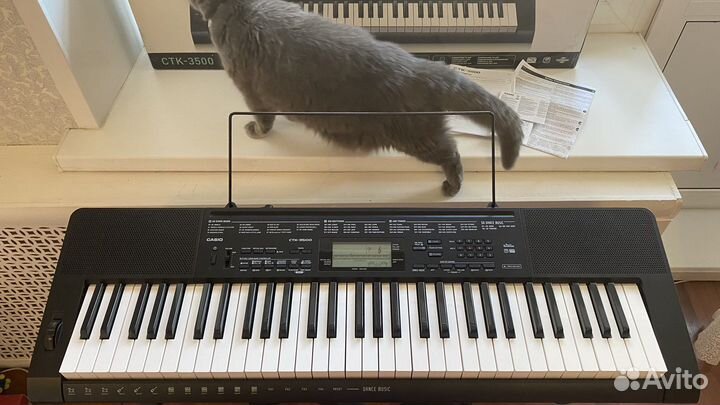 Синтезатор casio ctk 3500