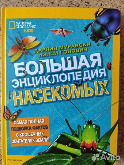 Большая энциклопедия 