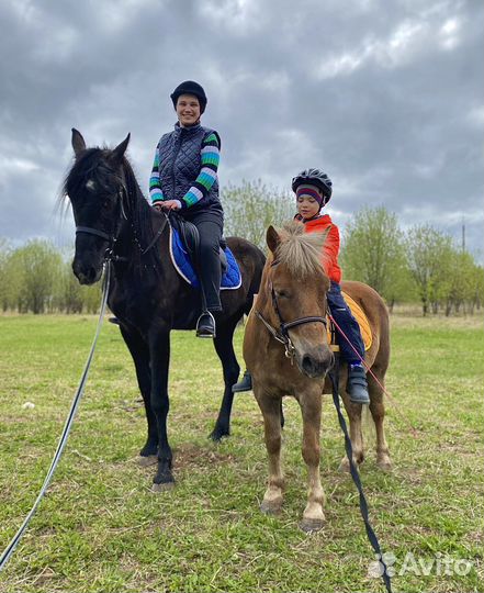 Прокат на лошадях