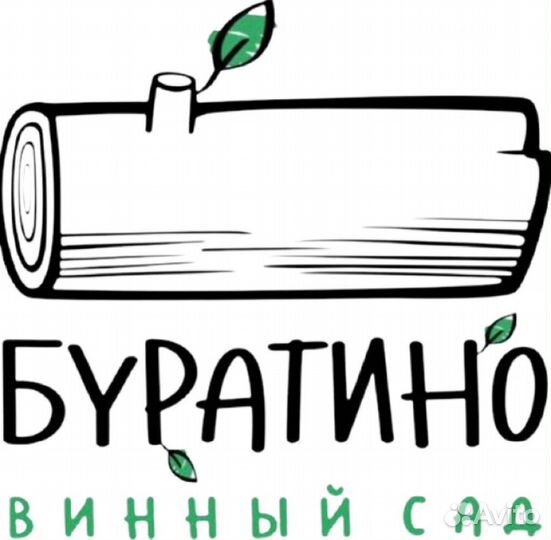 Бармен бариста