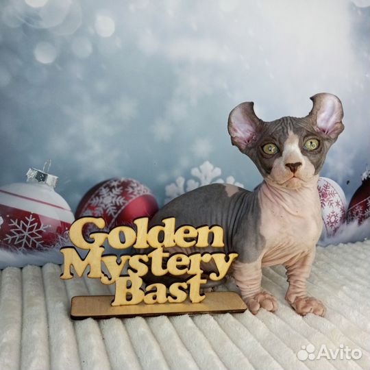 Сфинкс Двэльф