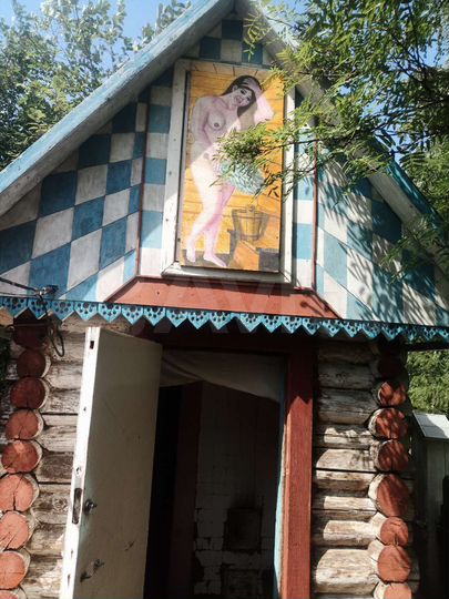 Дом 55 м² на участке 12 сот.